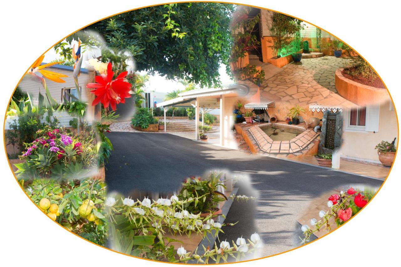 La Residence Des Cafeiers - Le Tampon (Adults Only) Ngoại thất bức ảnh