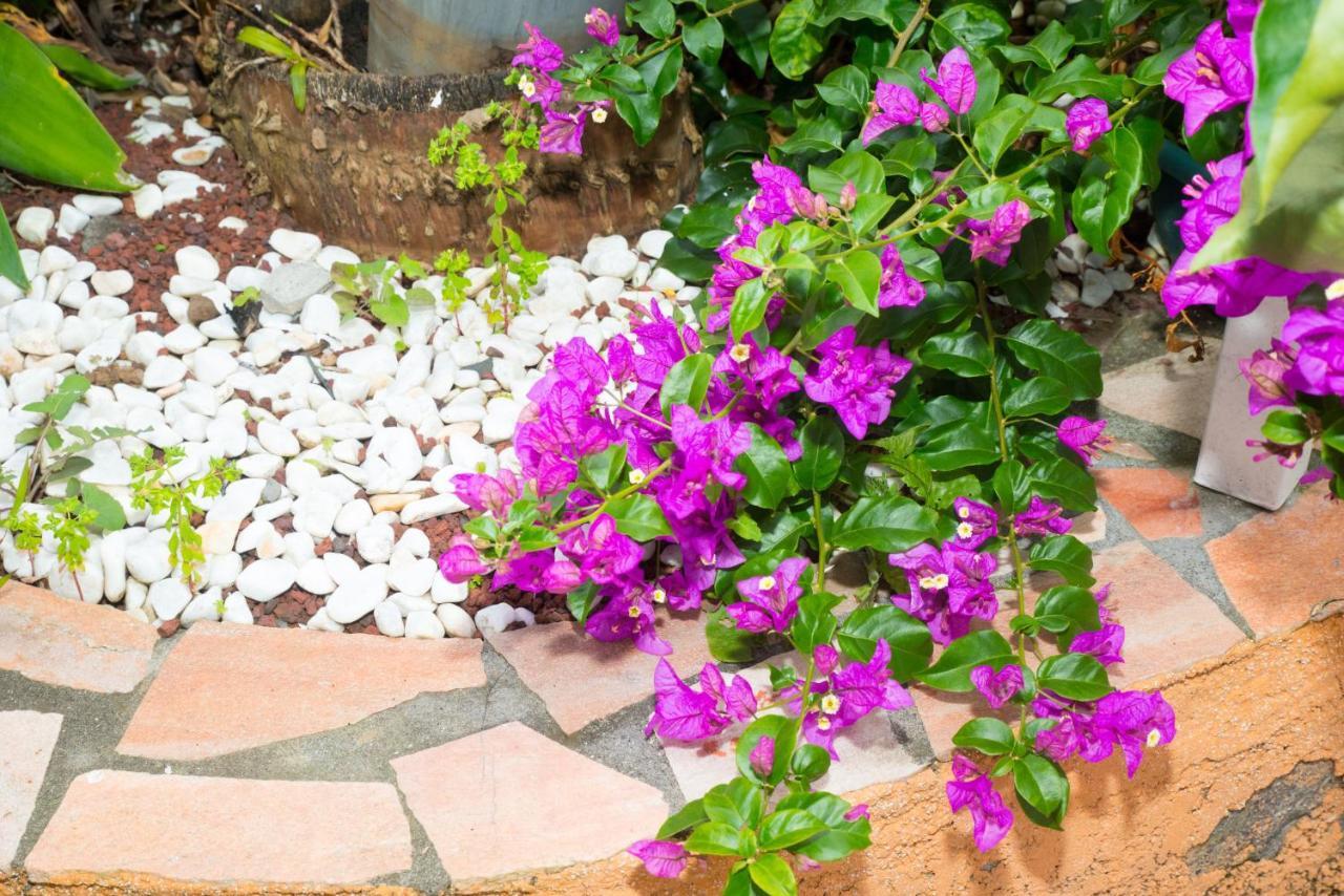 La Residence Des Cafeiers - Le Tampon (Adults Only) Ngoại thất bức ảnh